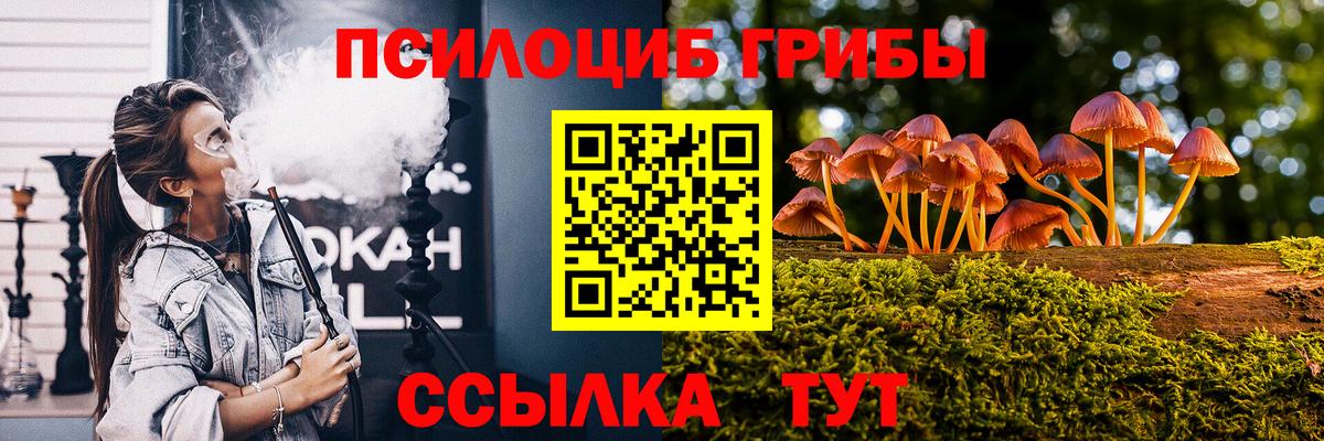 купить наркотик  Вход с VPN  Нижнекамск  Псилоцибиновые грибы Psilocybine cubensis 