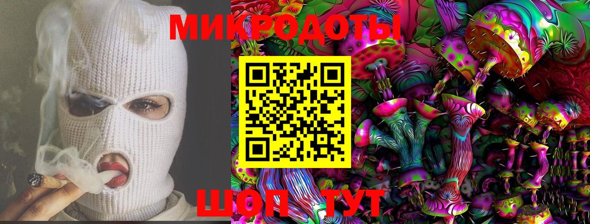 Псилоцибиновые грибы Psilocybine cubensis Нижнекамск
